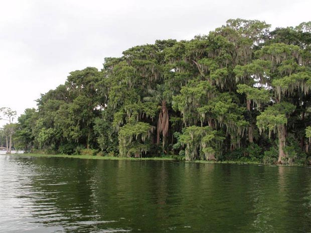 FLorida Lake Orlando - Erik Weems Photography