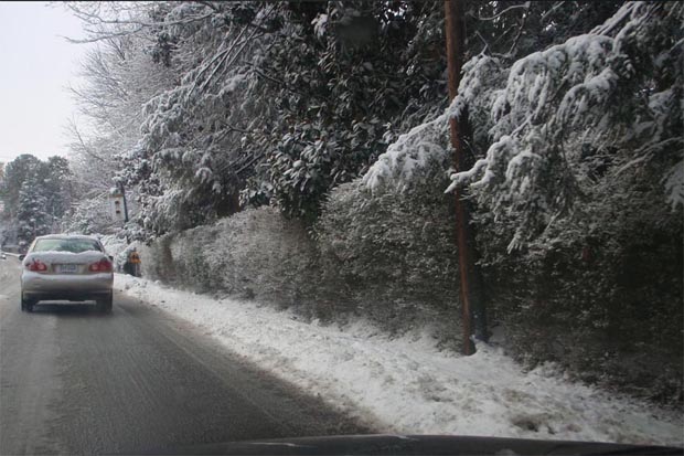 Ice roads along Forest Avenue, Richmond Virginia  - Erik Weems Photography