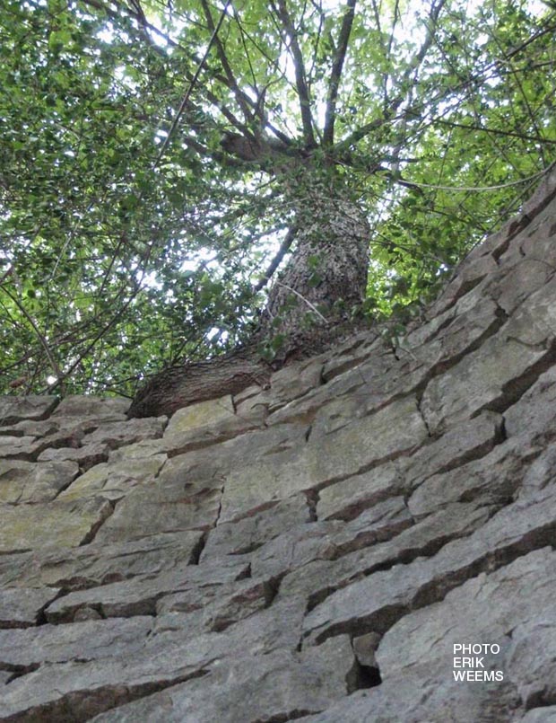 Stone wall, Sweet Spring, Eureka Springs, Arkansas - Erik Weems Photography