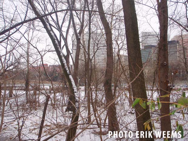 Arlington in SNow - Virginia - Roosevelt Island