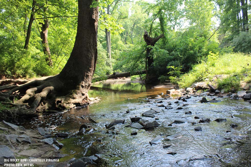 Big Rocky Run - Chantilly Virginia - photo by Erik Weems