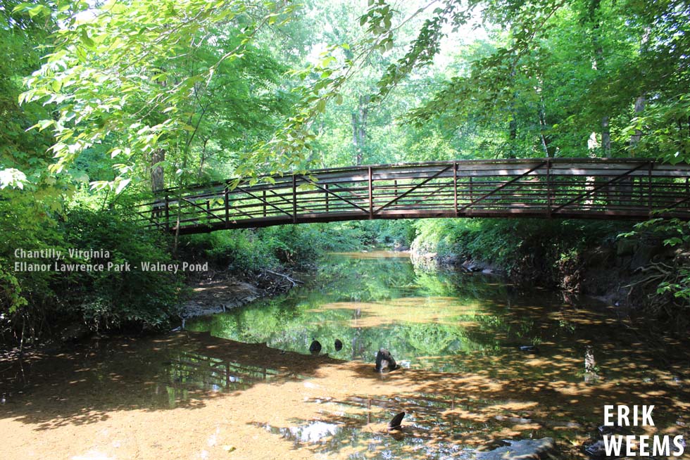 Bridge - Big Rocky Run - Chantilly Virginia