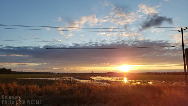 Delaware fields after rainfall