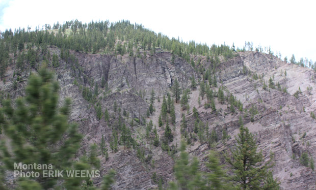 Mountain Pines Montana