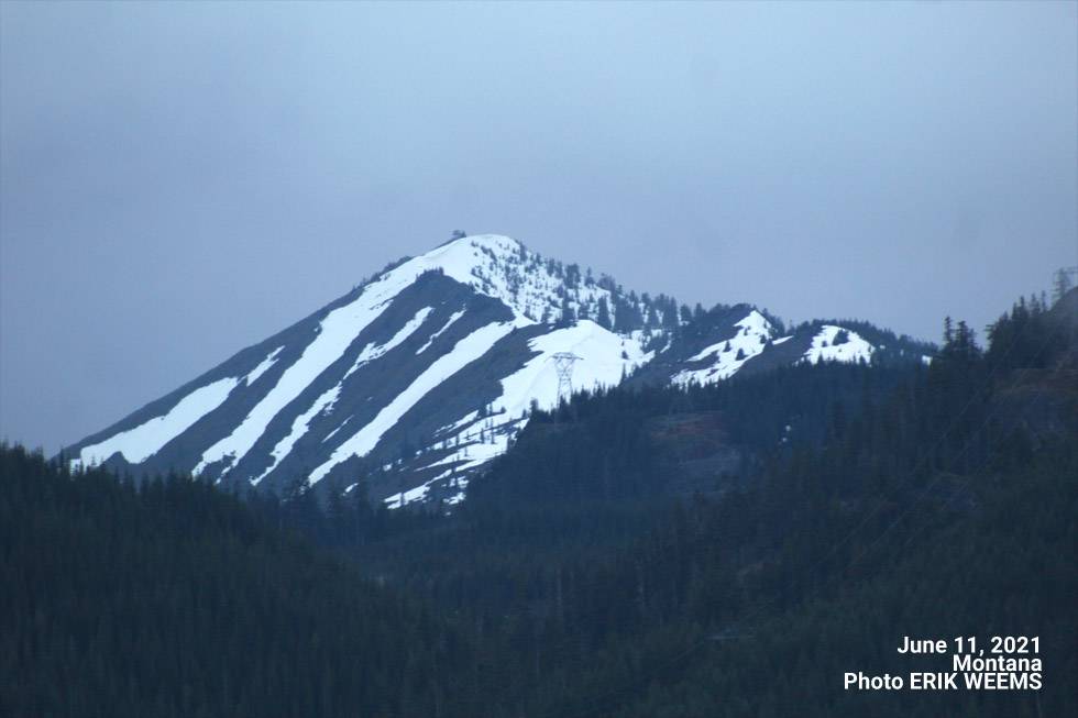 Snow in June Montana