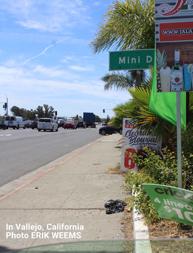 Vallejo Street in California