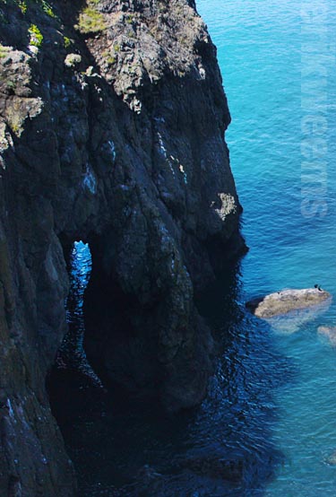 Yaquina Head Oregon