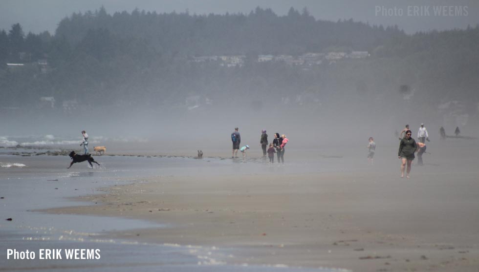 Oregon Coast