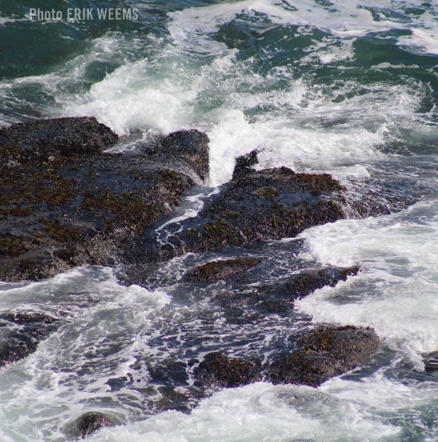 Rocky Pacific Coast