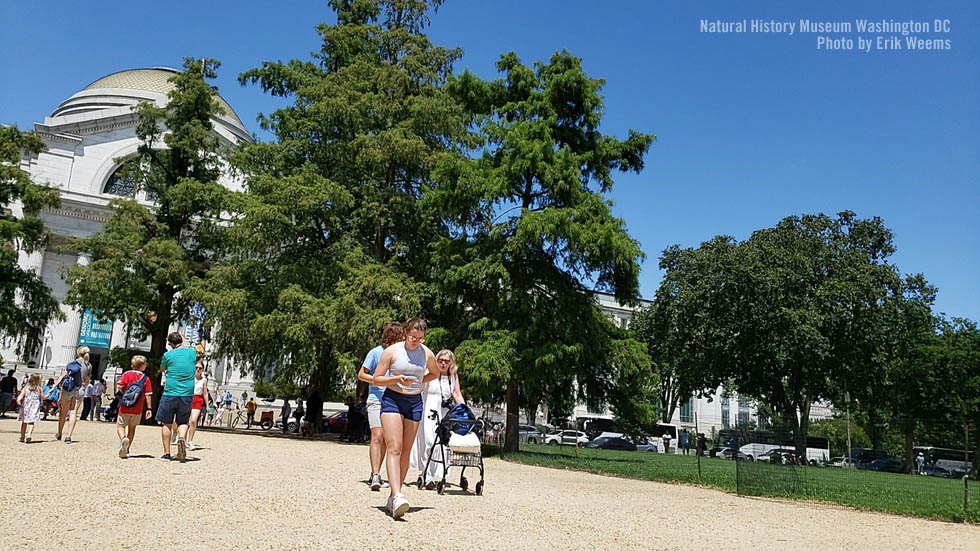 Natural History Museum on the National Mall 2022