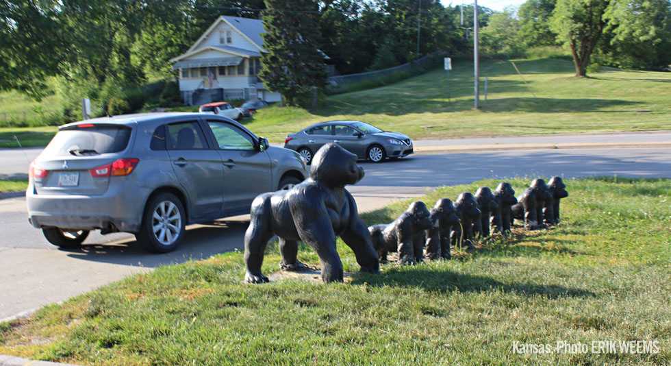 Gorillas in Nebraska