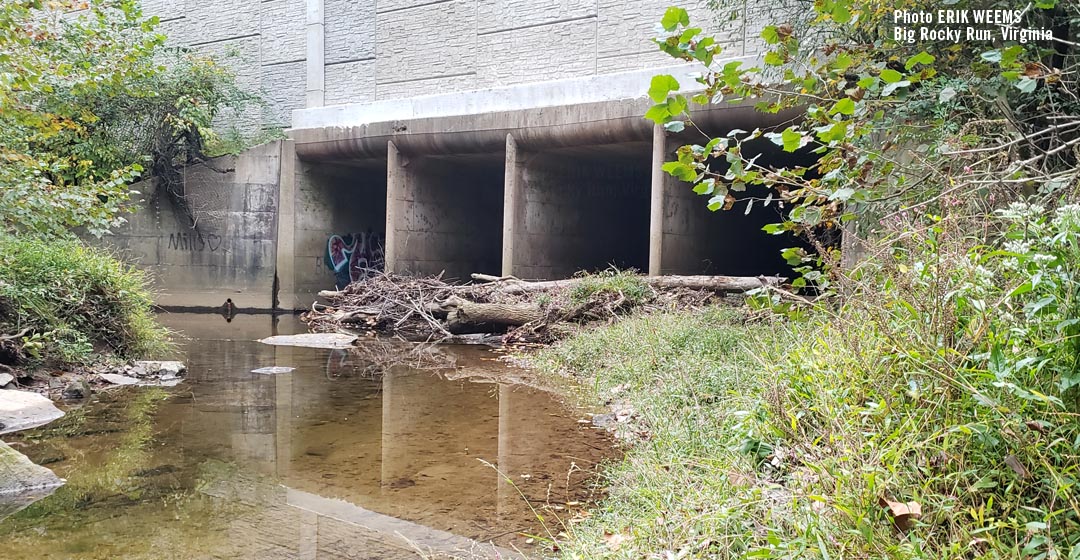 Four tunnels under Route 29 Big Rocky Run