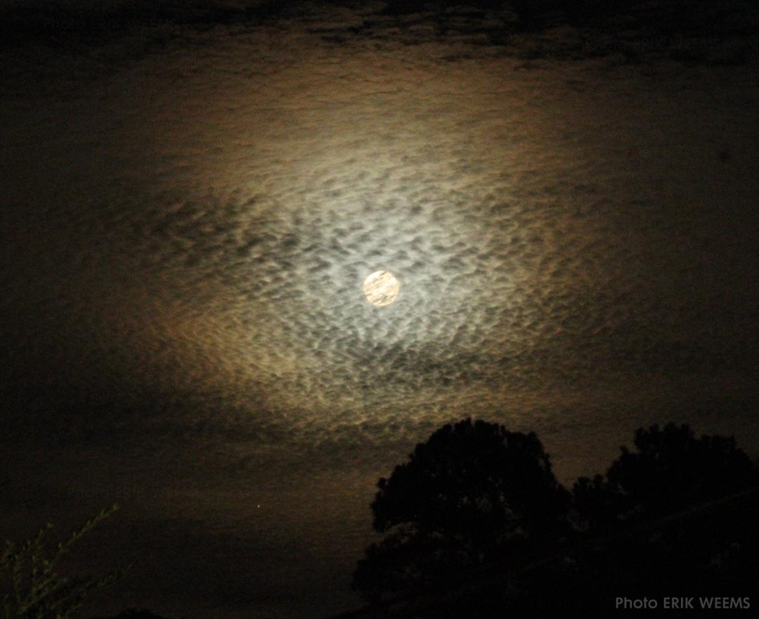 Moon Rise October 