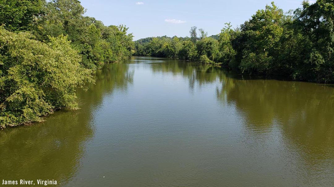 Summer on the James River