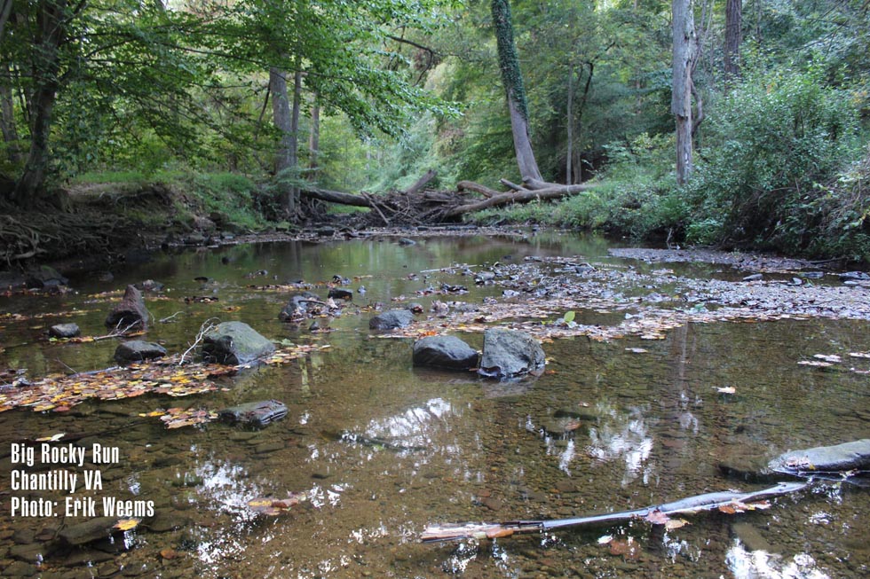 Big Rocky Run - Chantilly Virginia