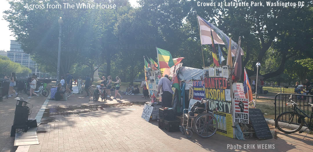 Crowds at Lafayette Park in Washington DC